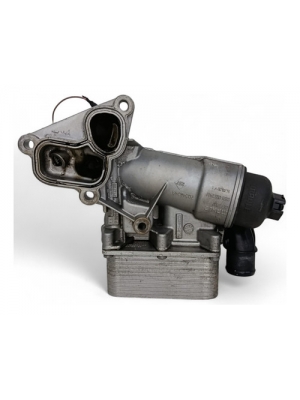 Radiador De Óleo Com Suporte Renault Master 2025 8201005241.