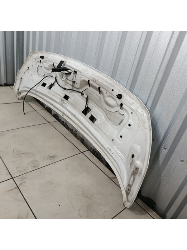 Capô Peugeot Expert Jumpy Scudo 2021 2022 2023 2024 Original