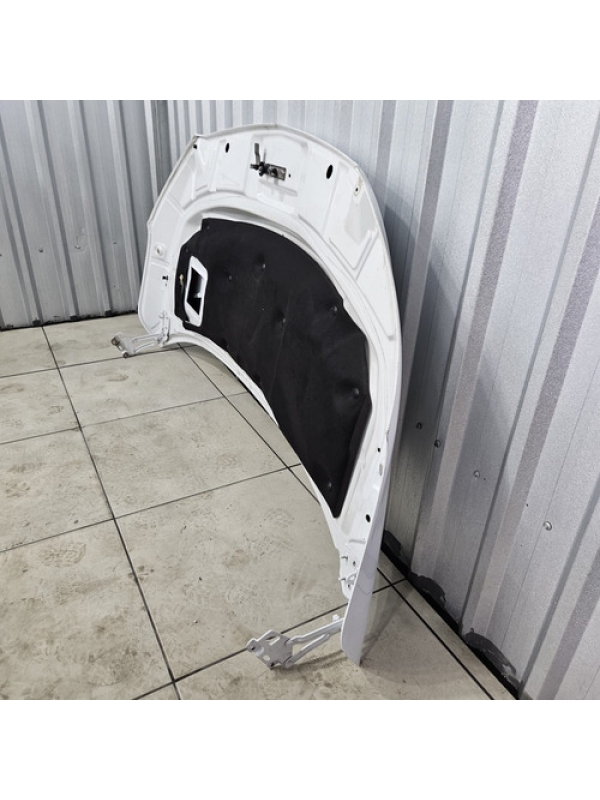 Capô Mercedes-benz Sprinter 416 417 417 517 2023 2024 E 2025