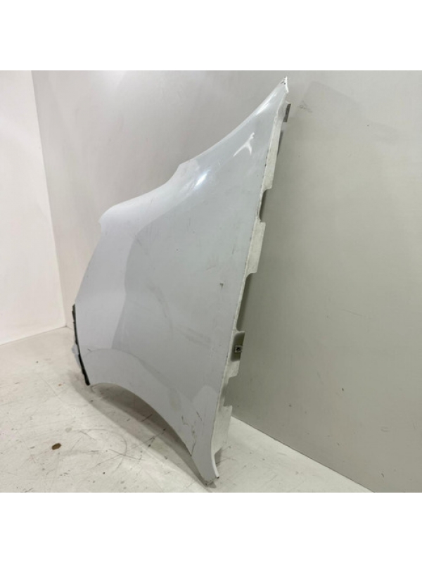 Paralama Esquerdo Renault Master 2.3 2023 2024 25 260928054r