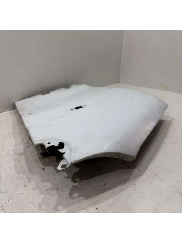 Paralama Esquerdo Renault Master 2.5 2006 2007 2008 À 2012.