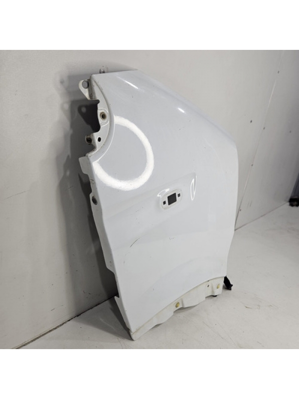 Paralama Lado Direito Renault Master 2.5 2005 Até 2011 2012.