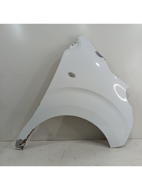 Paralama Direito Peugeot Expert Jumpy Scudo 2019 2020 2021 .