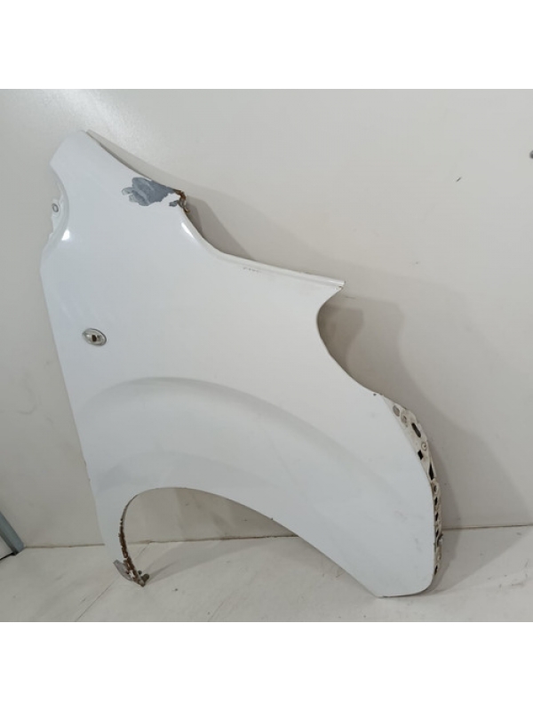 Paralama Direito Peugeot Expert Jumpy Scudo 2019 2020 2021 .