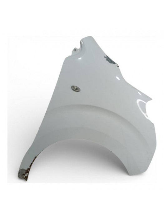 Paralama Direito Peugeot Expert Jumpy Scudo 2019 2020 2021 .