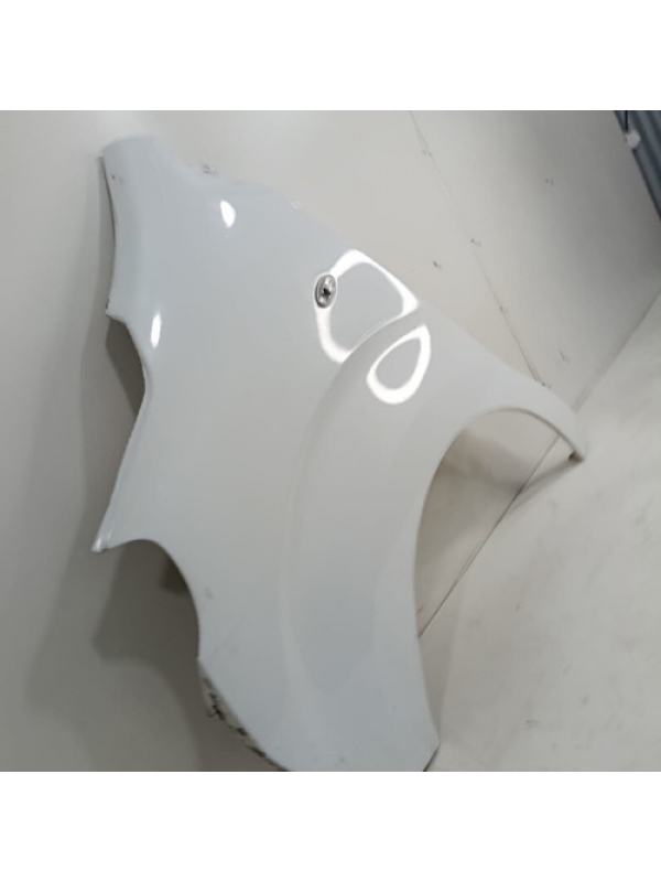 Paralama Esquerdo Peugeot Expert Jumpy Scudo 2019 2020 2021.