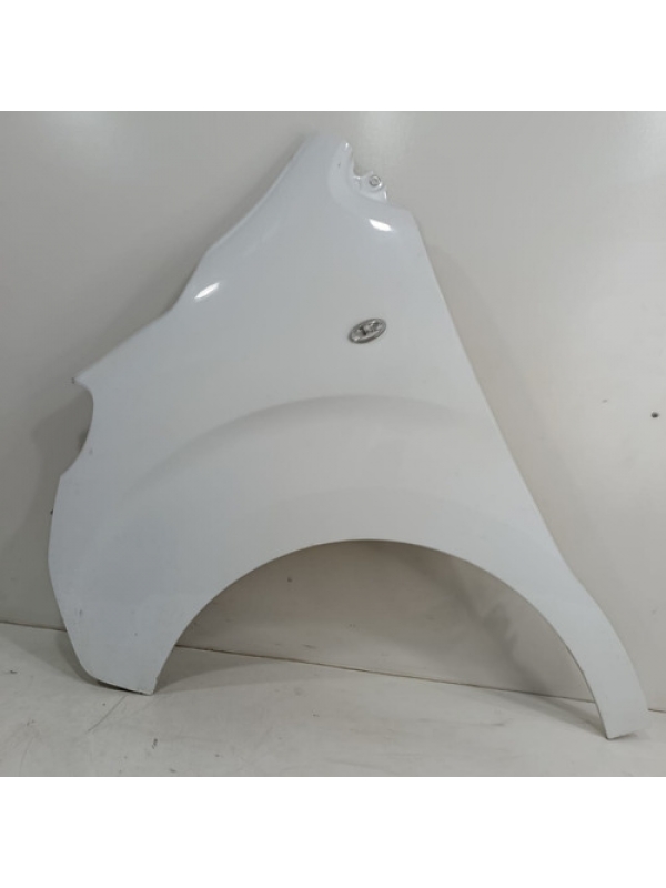 Paralama Esquerdo Peugeot Expert Jumpy Scudo 2019 2020 2021.