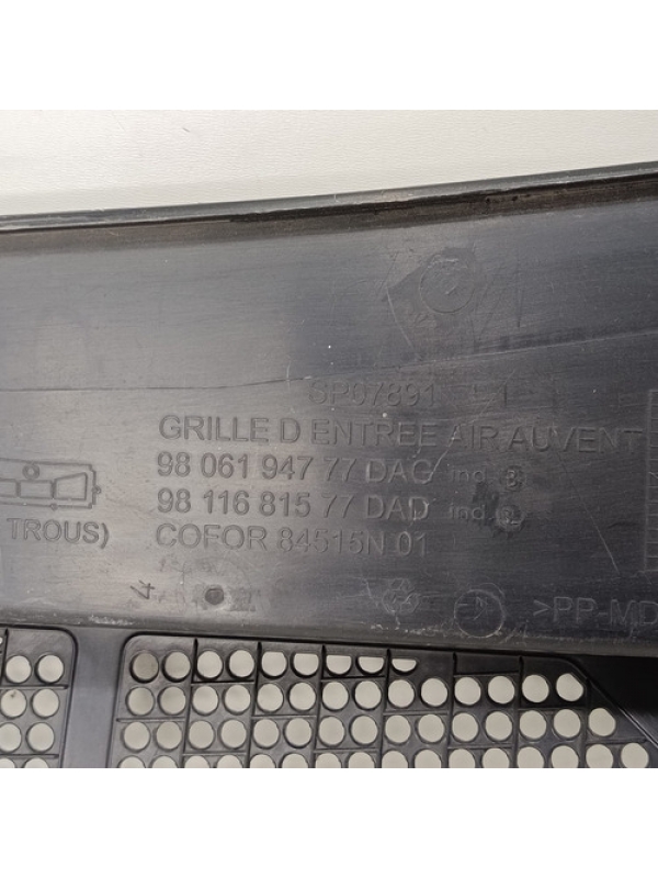 Churrasqueira Direita Peugeot Expert 2018 À 2024 9806194777.