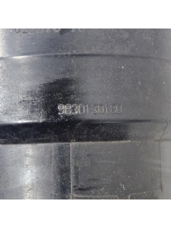 Filtro Combustivel Peugeot Expert 1.5 2022 À 2024 9830130180
